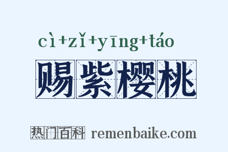 赐紫樱桃是什么意思的图片